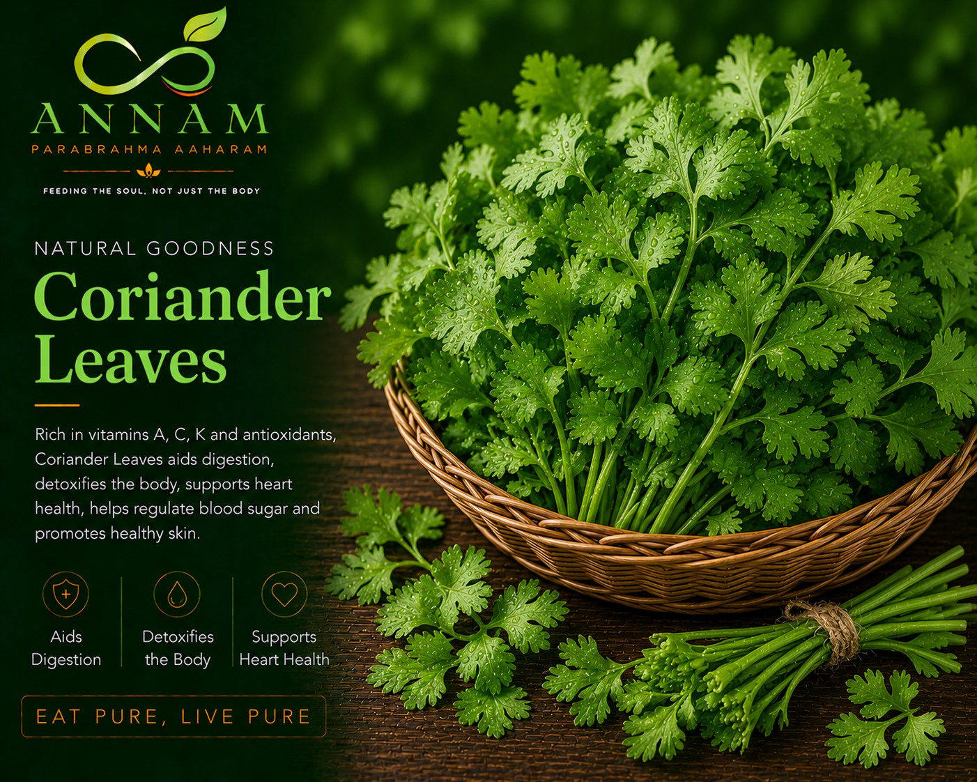 Coriander Leaves