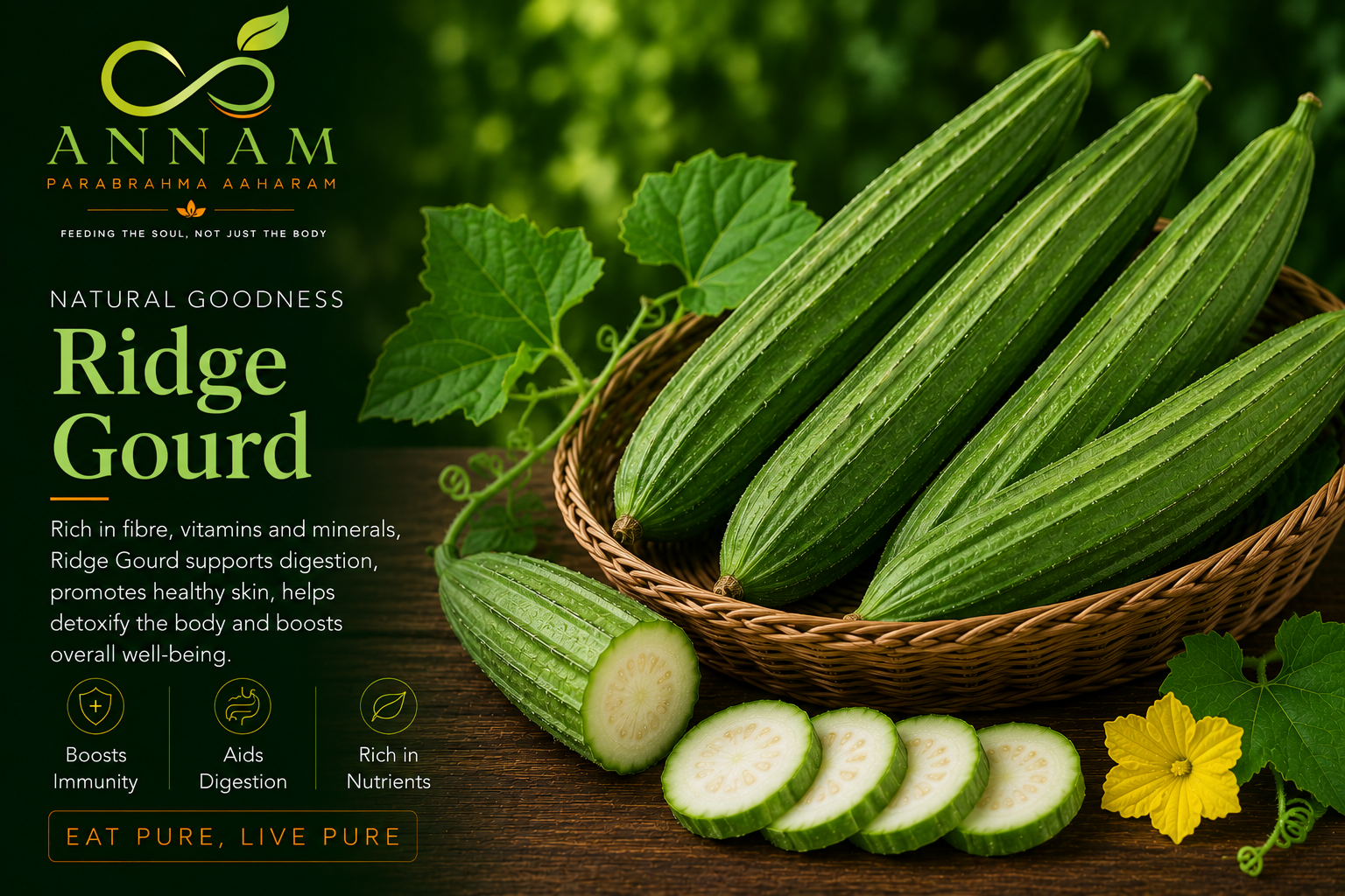 Ridge Gourd